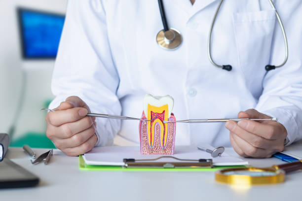 Best Broken or Chipped Tooth Repair in Rural Retreat, VA